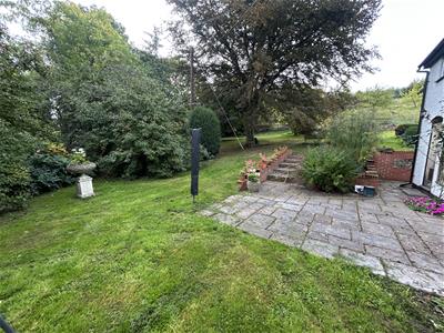 Picture 29